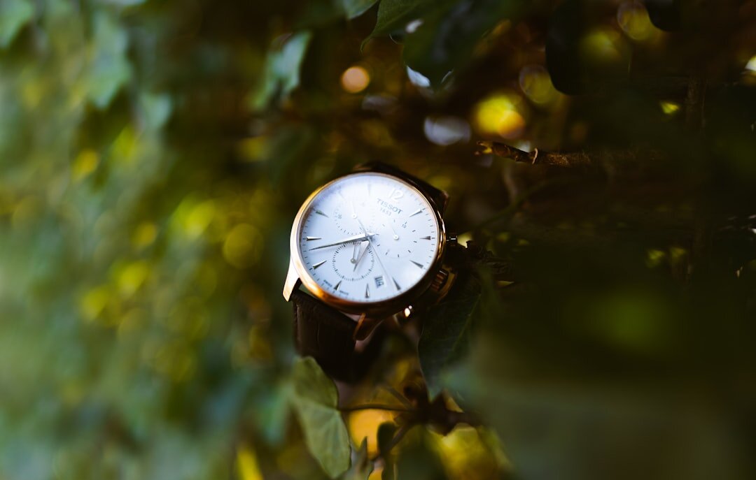Macro photograph of a Swiss watch movement with gold gears