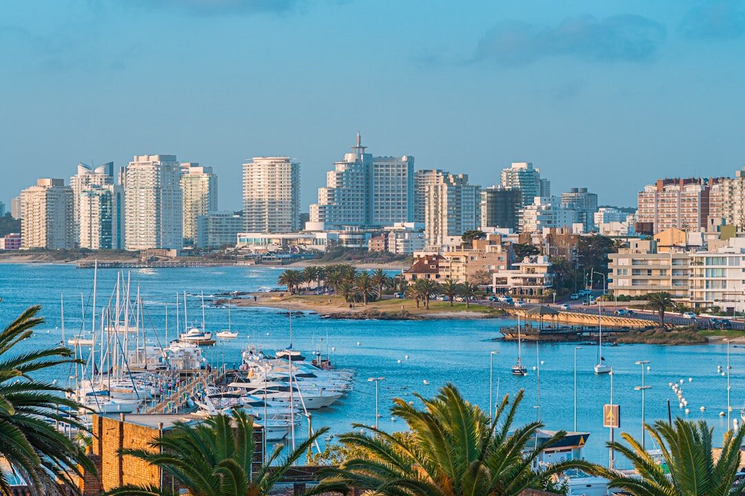 Luxury yachts anchored at the marina of Punta del Este