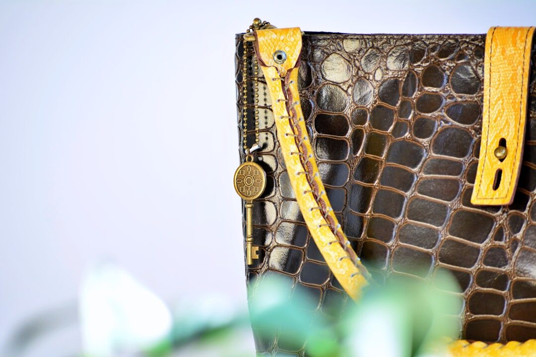 luxury handbag close up